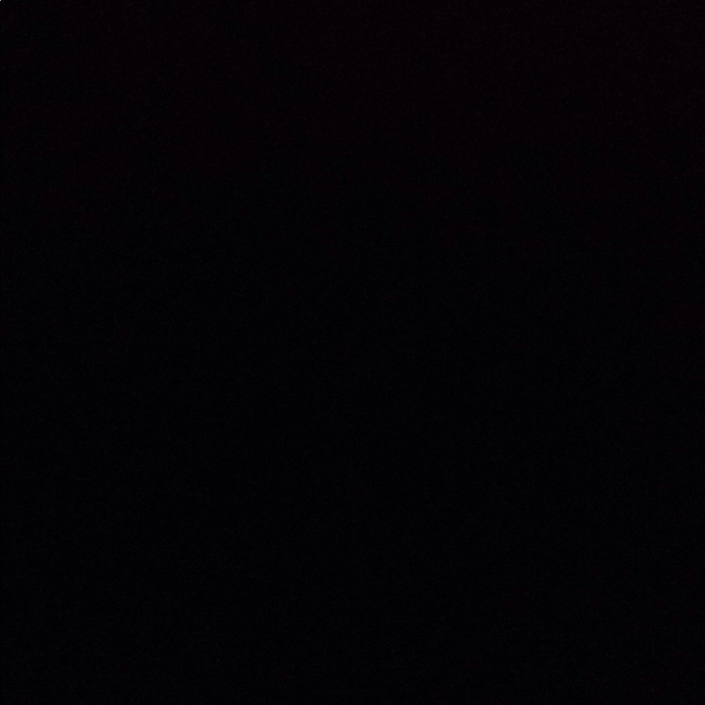 Meet your Posher, Mickey